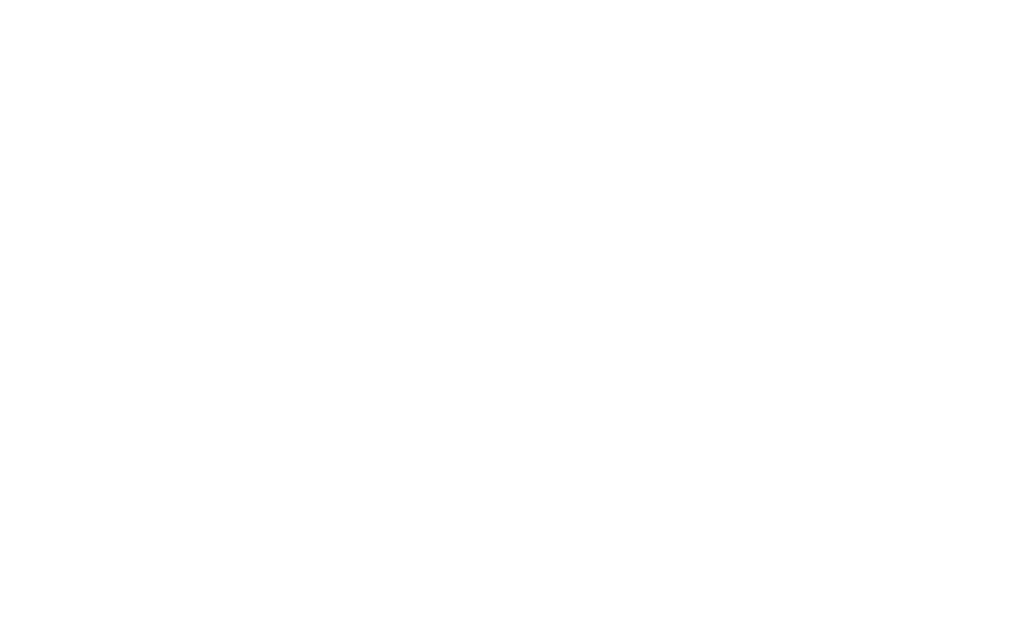 CapCut